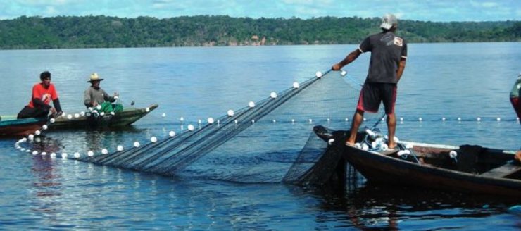 Projeto de pesca da Fundação Amazonas Sustentável