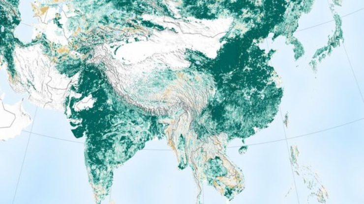Imagens de satélite compiladas mostram que as áreas de vegetação aumentaram no planeta; mas cientistas explicam que isso não é necessariamente uma boa notícia.