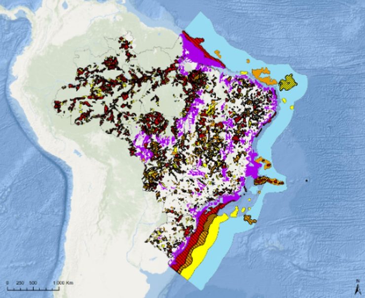 Conteúdo detalha áreas de risco para espécies nativas e ecossistemas frágeis em 6 biomas brasileiros. Pasta diz que fará ajustes por causa de 'sombreamento entre biomas'.