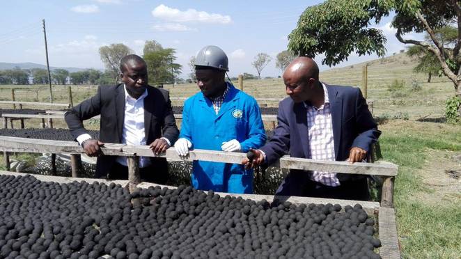No Quênia, empresa produz carvão de cocô (mais barato, eficiente e sustentável) para substituir carvão mineral