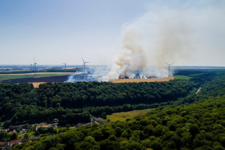 Incêndios destroem milhares de hectares de plantações durante onda de calor na França
