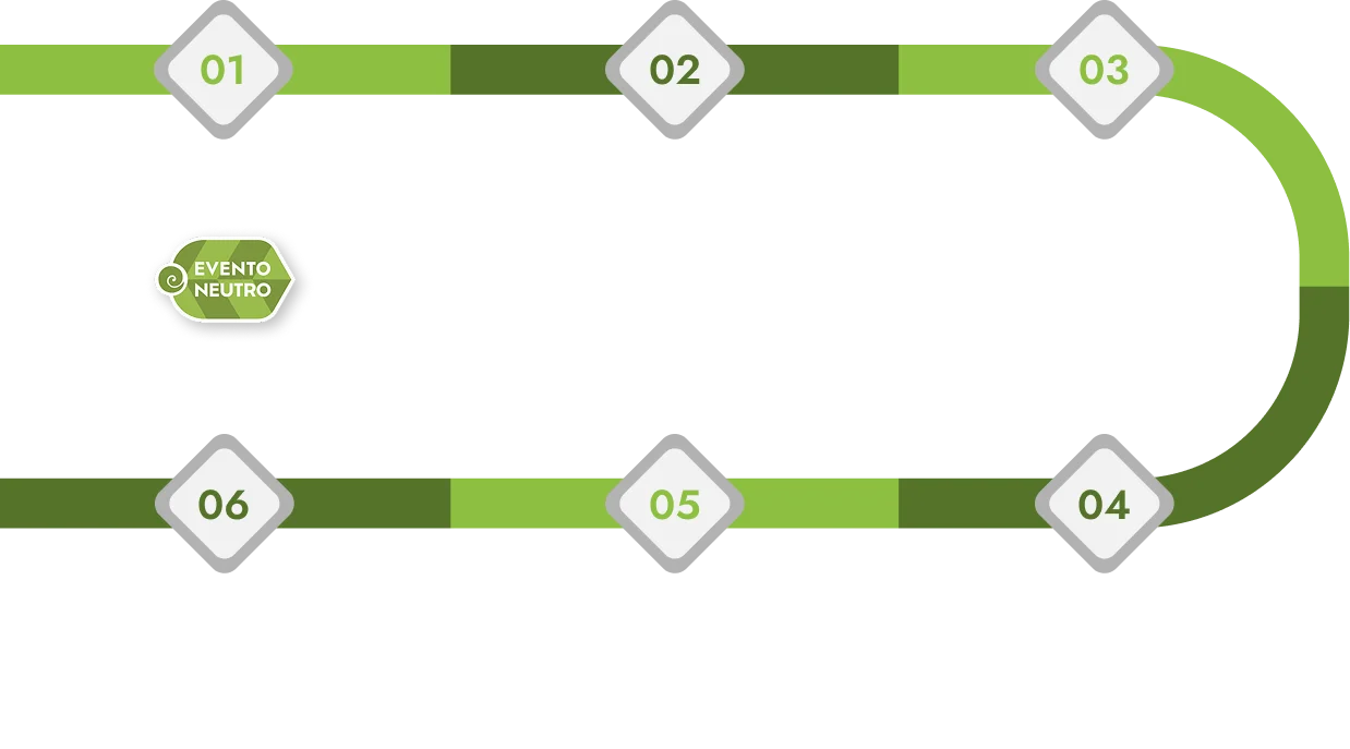 Timeline