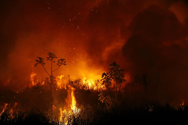 Seca e Queimadas: uma crise provocada 