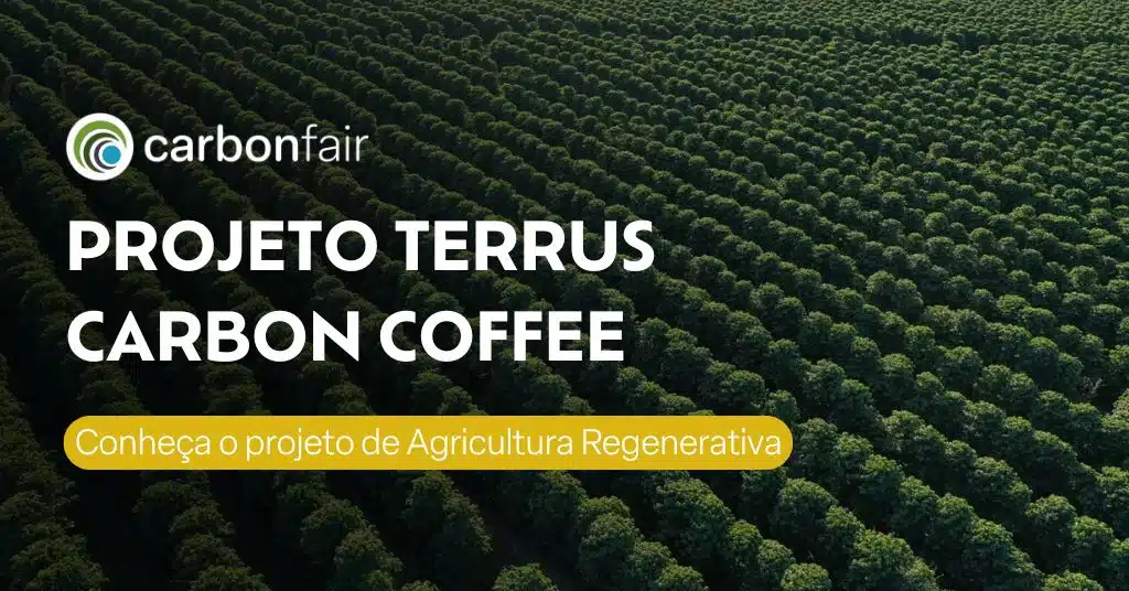 Projeto Terrus Carbon Coffee da Carbonfair, Eccaplan. A pioneira em trading de carbono. Mercado de carbono de países emergentes, o Brasil.
