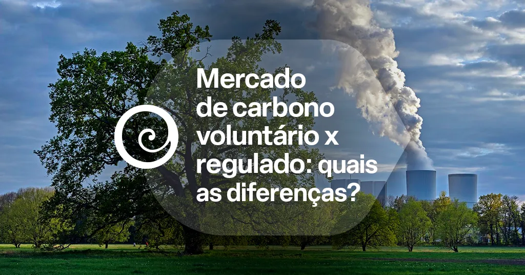 Mercado de carbono voluntário x regulado: quais as diferenças?