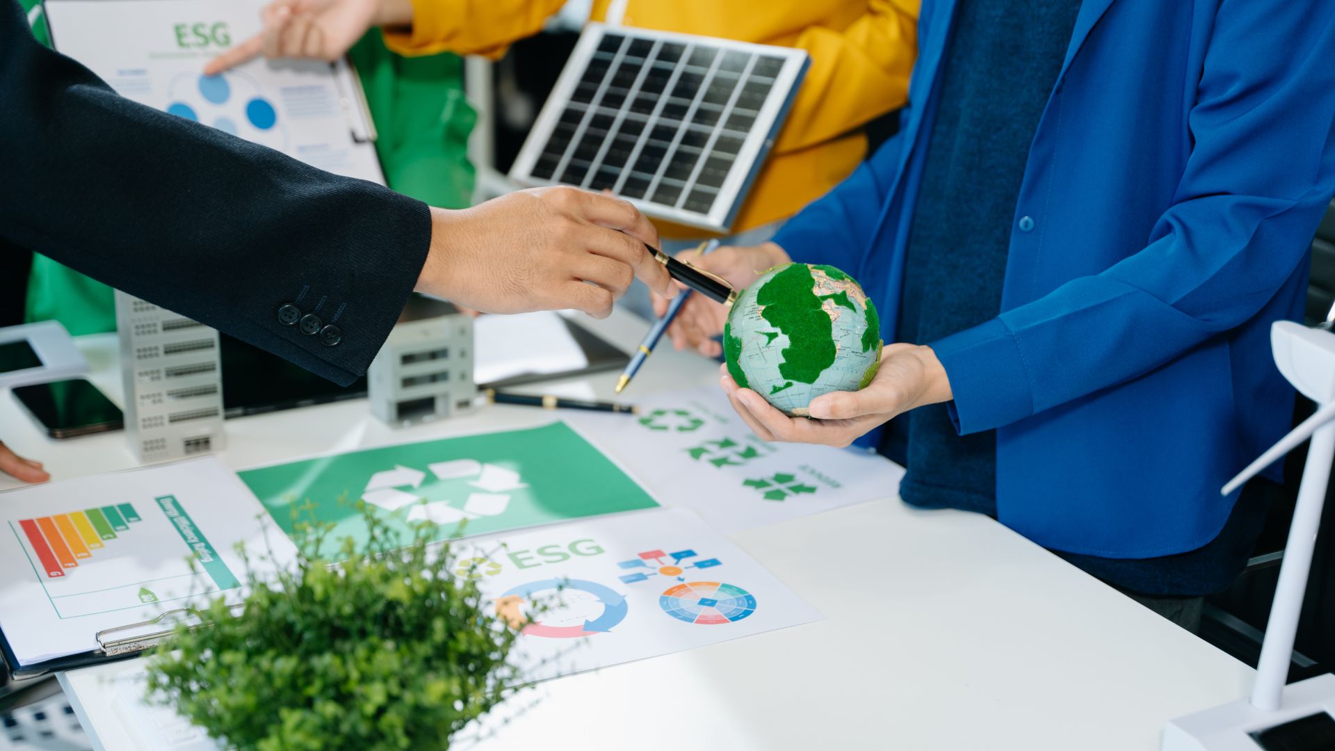 Negócios regenerativos, o paradigma que se consolida nas empresas
