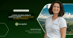 Opinião de especialista da Eccaplan Natallia Allmeida