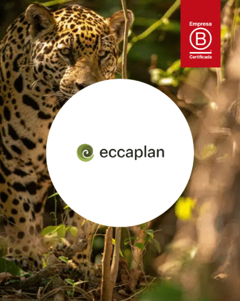 Eccaplan Empresa B Certificada