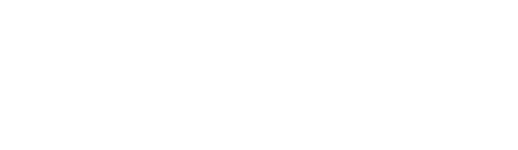 Logo Anfacer